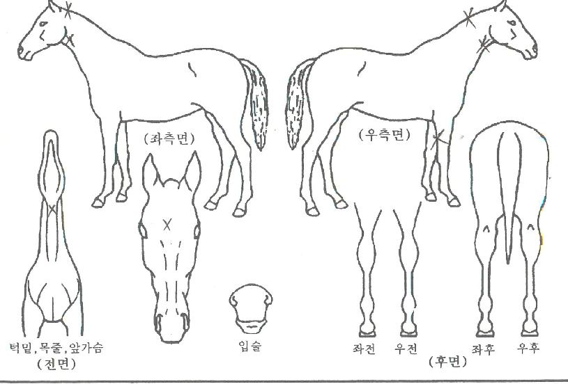 ��Ʈ������ ����,���,�޸�,�λ�,�ٸ��� Ư¡����