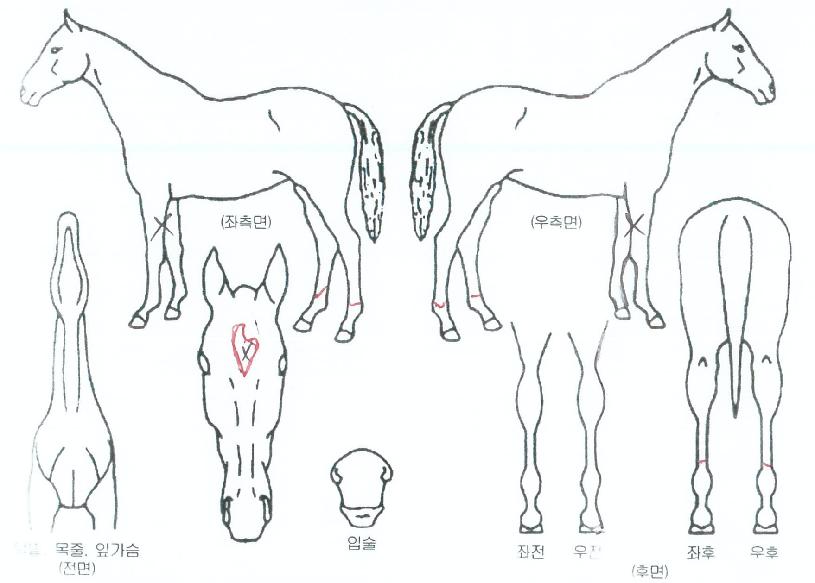 ����ũ����� ����,���,�޸�,�λ�,�ٸ��� Ư¡����