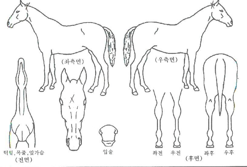 ��Ű������ ����,���,�޸�,�λ�,�ٸ��� Ư¡����