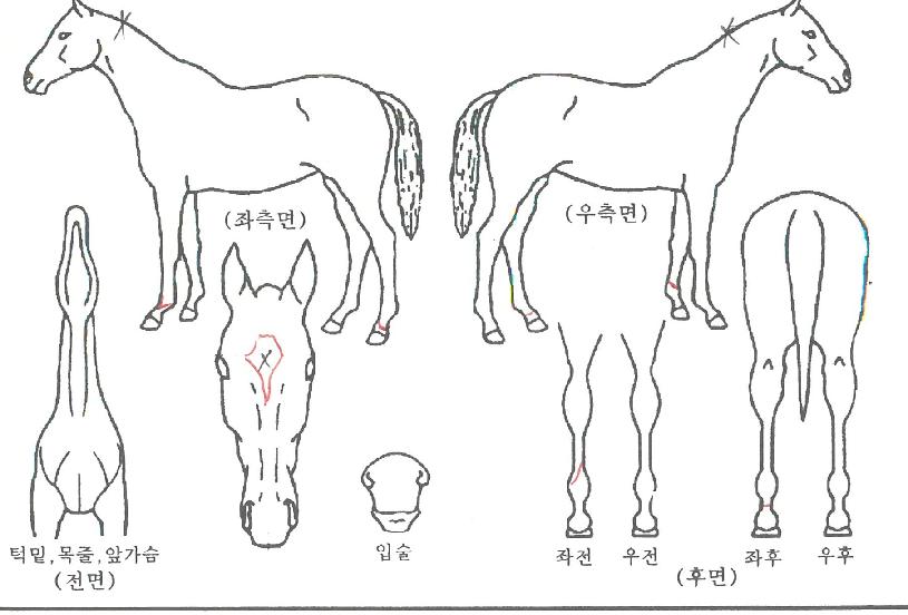 ���Ǽ������ ����,���,�޸�,�λ�,�ٸ��� Ư¡����