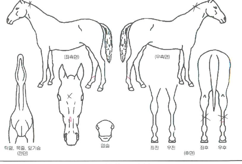 �ͿͿ������ ����,���,�޸�,�λ�,�ٸ��� Ư¡����