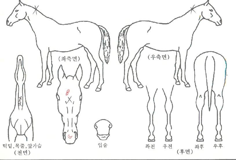 ����Ʈ������ ����,���,�޸�,�λ�,�ٸ��� Ư¡����