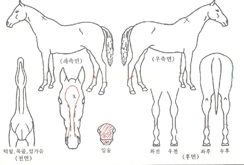 �������� ����,���,�޸�,�λ�,�ٸ��� Ư¡����