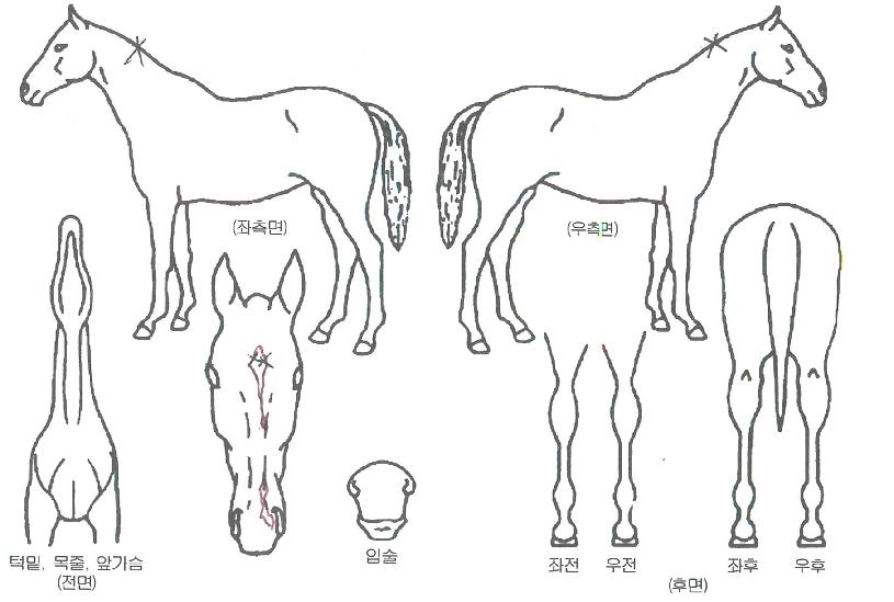 ���ϵ弼���� ����,���,�޸�,�λ�,�ٸ��� Ư¡����