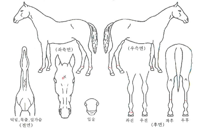 õ������� ����,���,�޸�,�λ�,�ٸ��� Ư¡����