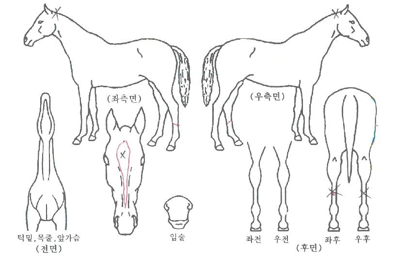 ����Ƽ�ļ����ڸ��� ����,���,�޸�,�λ�,�ٸ��� Ư¡����