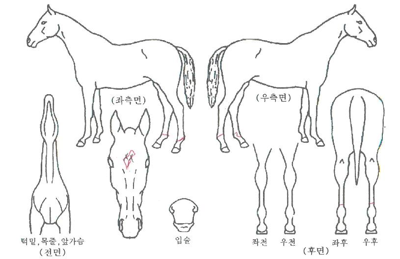 ��������� ����,���,�޸�,�λ�,�ٸ��� Ư¡����