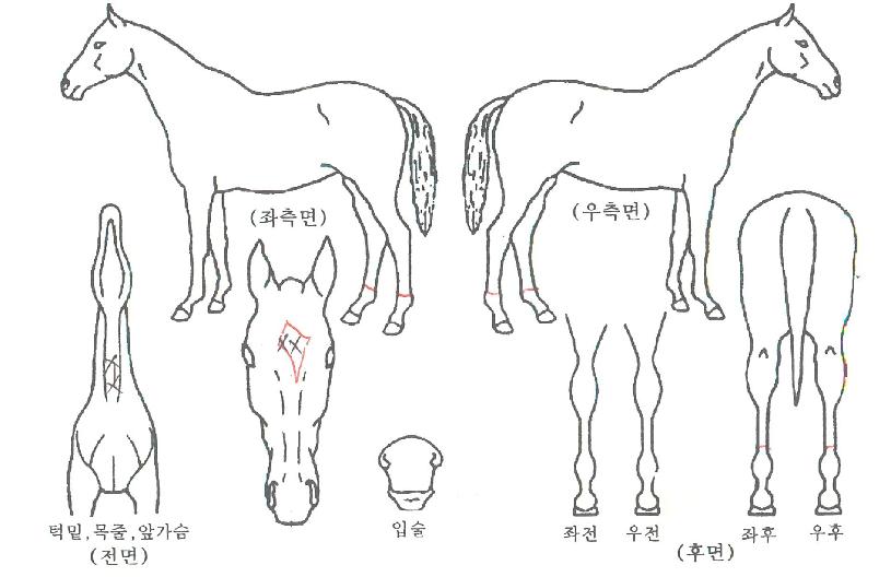 ���丮�ô��� ����,���,�޸�,�λ�,�ٸ��� Ư¡����