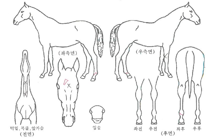 ��������Ʈ�� ����,���,�޸�,�λ�,�ٸ��� Ư¡����