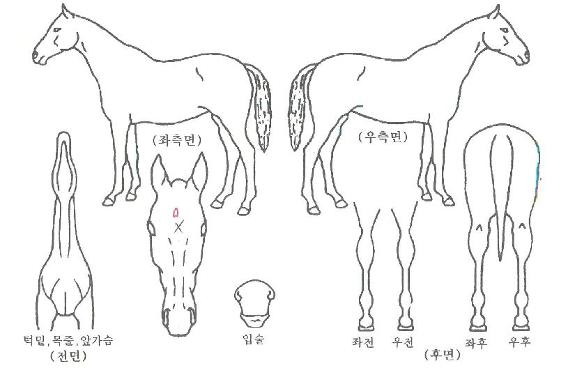 ���丮�� ����,���,�޸�,�λ�,�ٸ��� Ư¡����