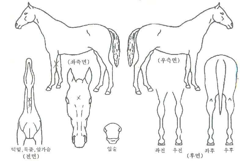 ���̽�Ÿ�� ����,���,�޸�,�λ�,�ٸ��� Ư¡����