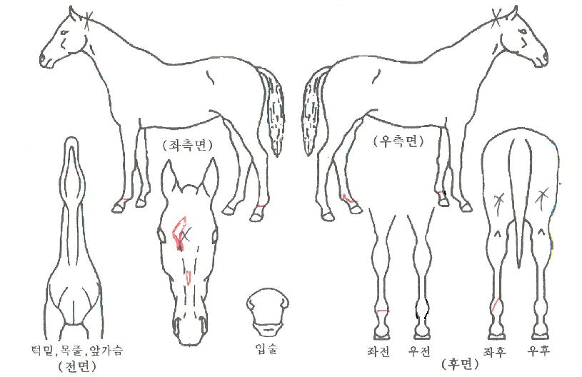 ���ܿ����� ����,���,�޸�,�λ�,�ٸ��� Ư¡����