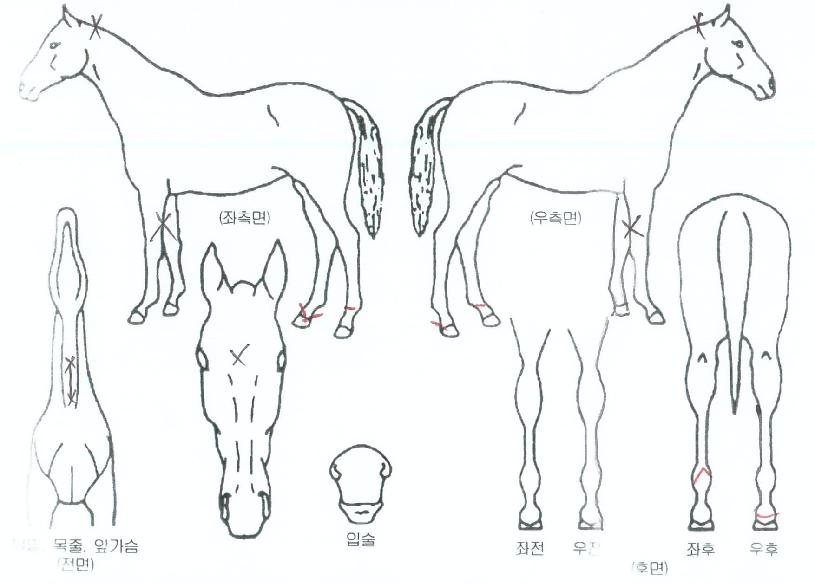 ������������� ����,���,�޸�,�λ�,�ٸ��� Ư¡����