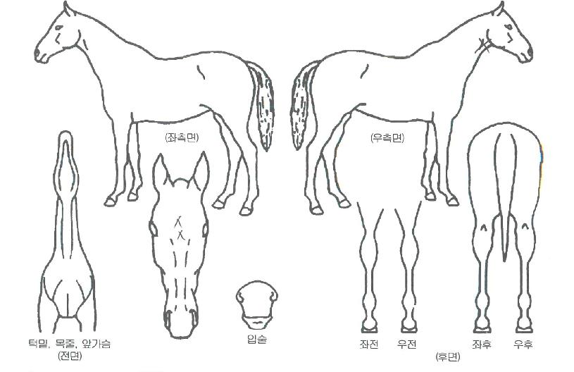 ���̺����ڸ��� ����,���,�޸�,�λ�,�ٸ��� Ư¡����