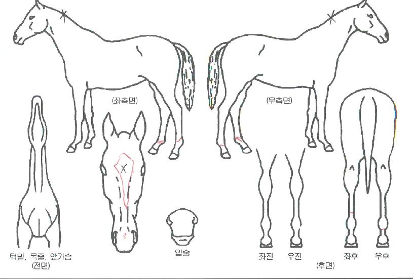 ��Ÿ��ƽ������ ����,���,�޸�,�λ�,�ٸ��� Ư¡����