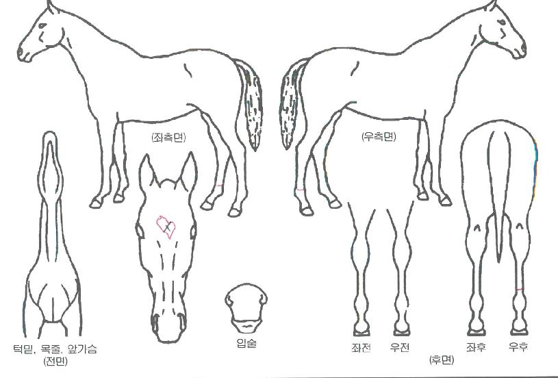 ���̺������� ����,���,�޸�,�λ�,�ٸ��� Ư¡����