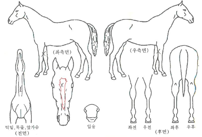 �ٷγ׽��� ����,���,�޸�,�λ�,�ٸ��� Ư¡����