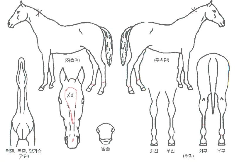 �����Ͼ������� ����,���,�޸�,�λ�,�ٸ��� Ư¡����