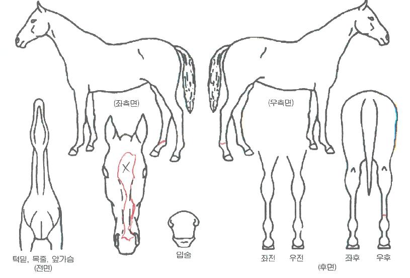 �Ʒ����� ����,���,�޸�,�λ�,�ٸ��� Ư¡����