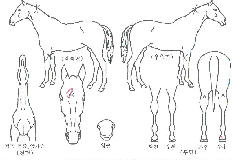 Ǯ�Ͽ콺�� ����,���,�޸�,�λ�,�ٸ��� Ư¡����