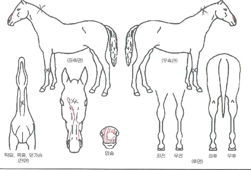 ���̽����丮�� ����,���,�޸�,�λ�,�ٸ��� Ư¡����