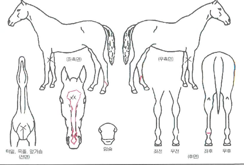 ������Ʈ���� ����,���,�޸�,�λ�,�ٸ��� Ư¡����