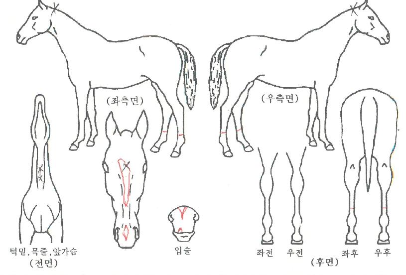 �������� ����,���,�޸�,�λ�,�ٸ��� Ư¡����