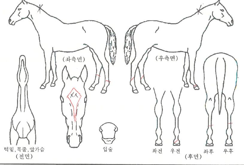 ��Ʈ������ ����,���,�޸�,�λ�,�ٸ��� Ư¡����