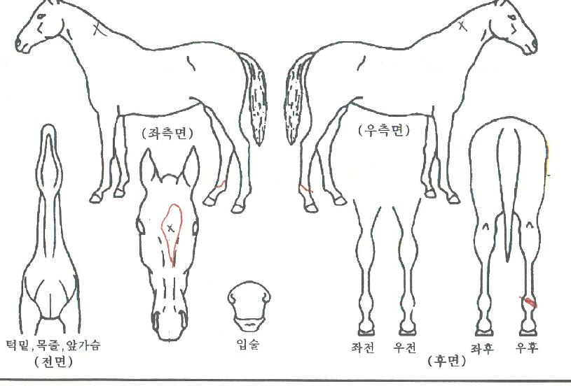 ����ũ�� ����,���,�޸�,�λ�,�ٸ��� Ư¡����