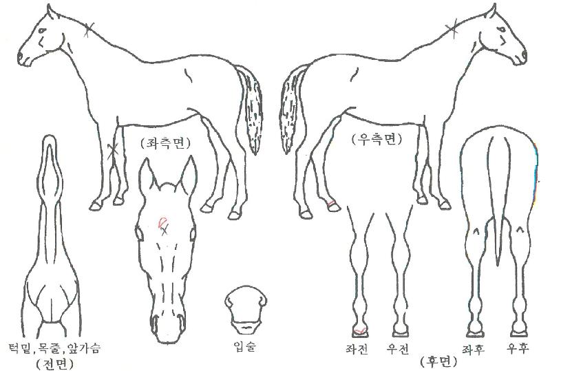 ����Ʈ������ ����,���,�޸�,�λ�,�ٸ��� Ư¡����