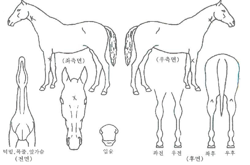 ��Ƽ���Դ��� ����,���,�޸�,�λ�,�ٸ��� Ư¡����