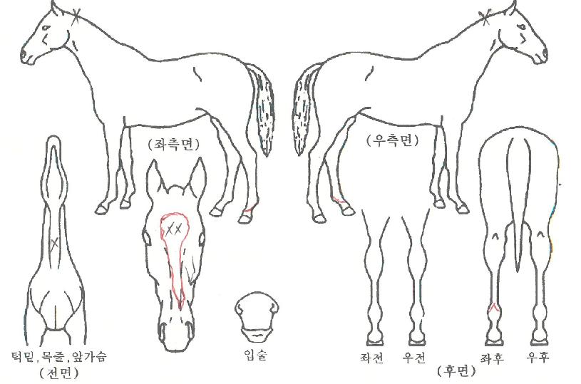 �ݺ������� ����,���,�޸�,�λ�,�ٸ��� Ư¡����