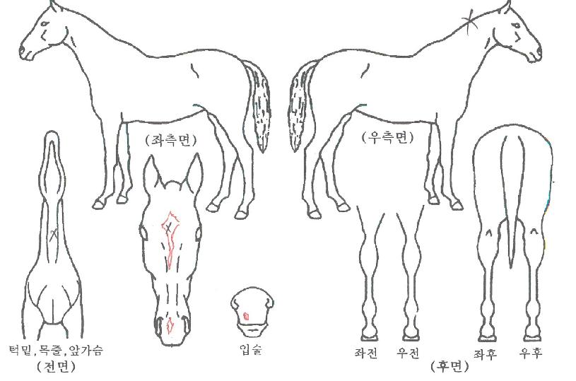 �Ŀ������� ����,���,�޸�,�λ�,�ٸ��� Ư¡����