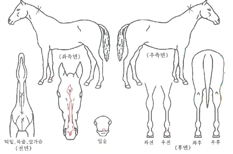 �͸������� ����,���,�޸�,�λ�,�ٸ��� Ư¡����