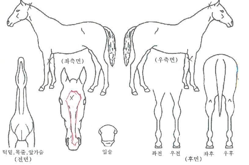 Ŭ�������� ����,���,�޸�,�λ�,�ٸ��� Ư¡����