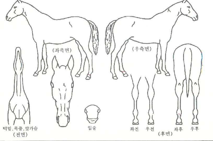 ��ũ������ ����,���,�޸�,�λ�,�ٸ��� Ư¡����