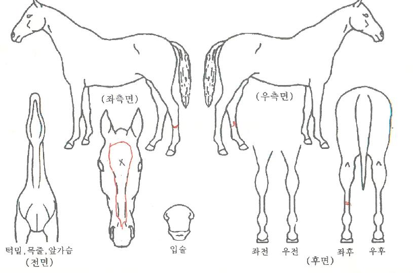 ���������� ����,���,�޸�,�λ�,�ٸ��� Ư¡����