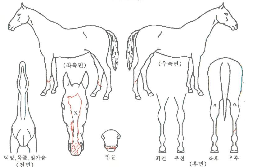 Ȩ������ ����,���,�޸�,�λ�,�ٸ��� Ư¡����