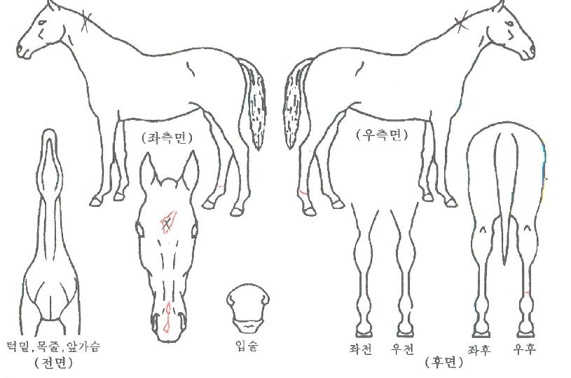 ��������� ����,���,�޸�,�λ�,�ٸ��� Ư¡����