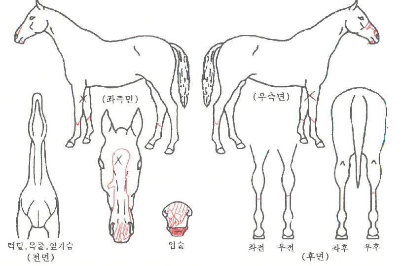 ���̽������� ����,���,�޸�,�λ�,�ٸ��� Ư¡����