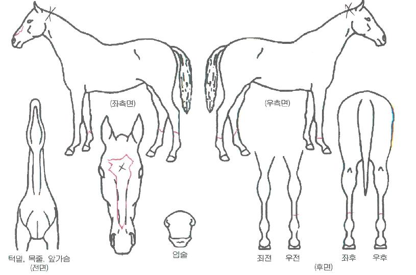 ����Ǯ���丮�� ����,���,�޸�,�λ�,�ٸ��� Ư¡����