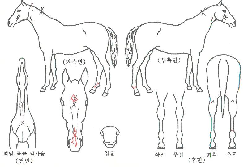 �ҵ����� ����,���,�޸�,�λ�,�ٸ��� Ư¡����