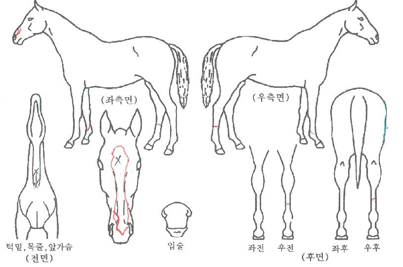 ���������� ����,���,�޸�,�λ�,�ٸ��� Ư¡����