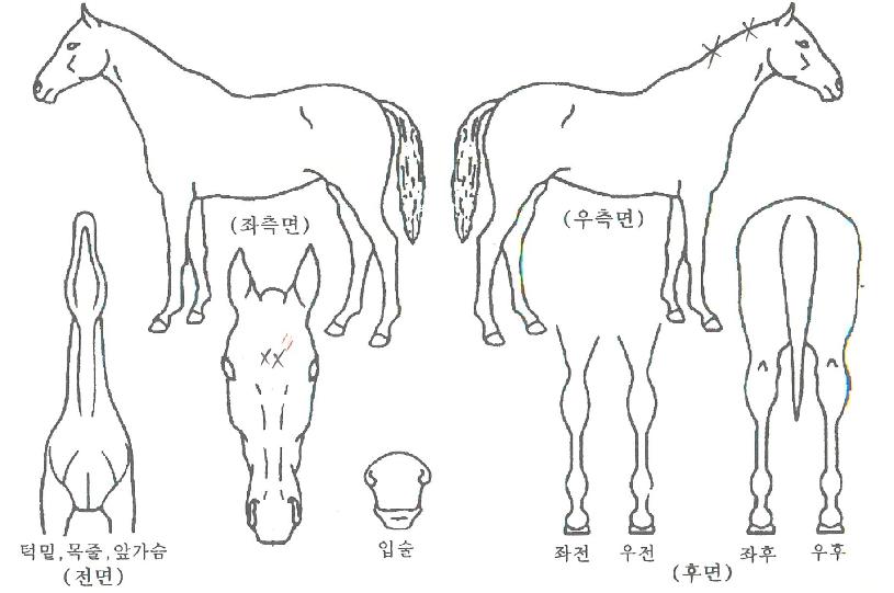 �÷������� ����,���,�޸�,�λ�,�ٸ��� Ư¡����