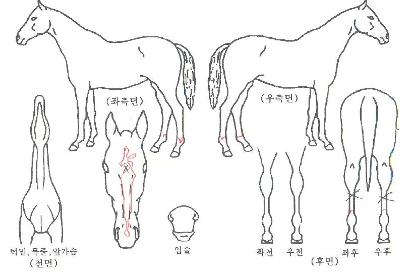 �ؼ����ǵ��� ����,���,�޸�,�λ�,�ٸ��� Ư¡����