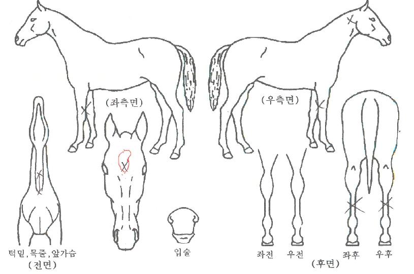 ���������� ����,���,�޸�,�λ�,�ٸ��� Ư¡����