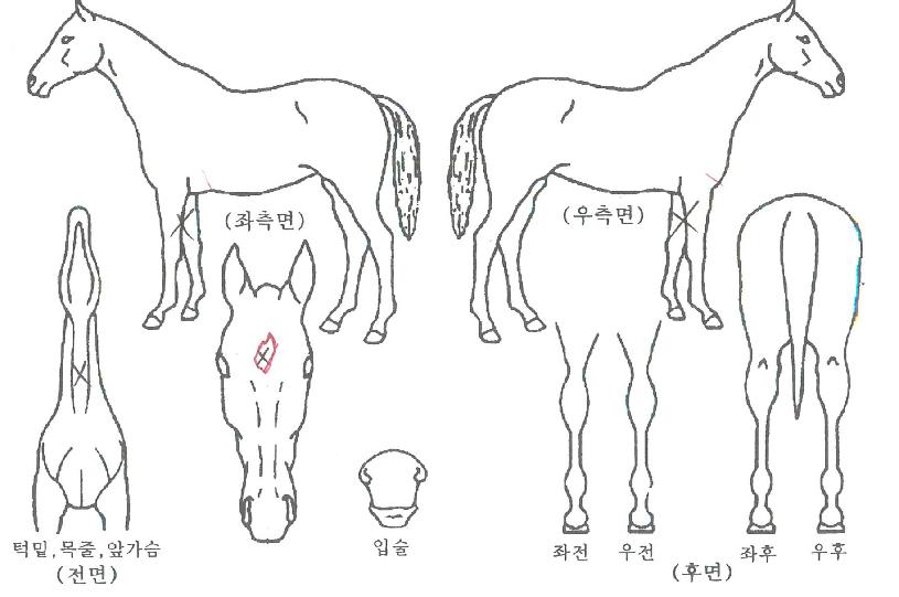 �Һ������� ����,���,�޸�,�λ�,�ٸ��� Ư¡����