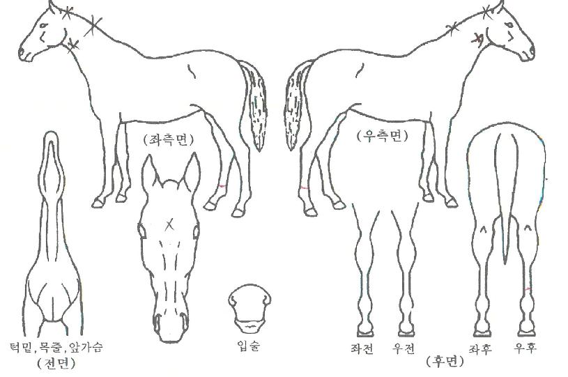 �޸������� ����,���,�޸�,�λ�,�ٸ��� Ư¡����