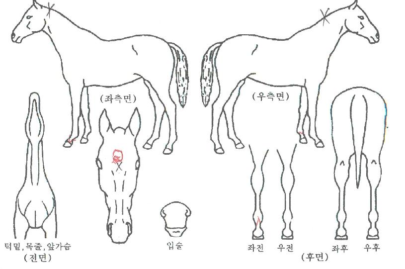 ��·ε��� ����,���,�޸�,�λ�,�ٸ��� Ư¡����