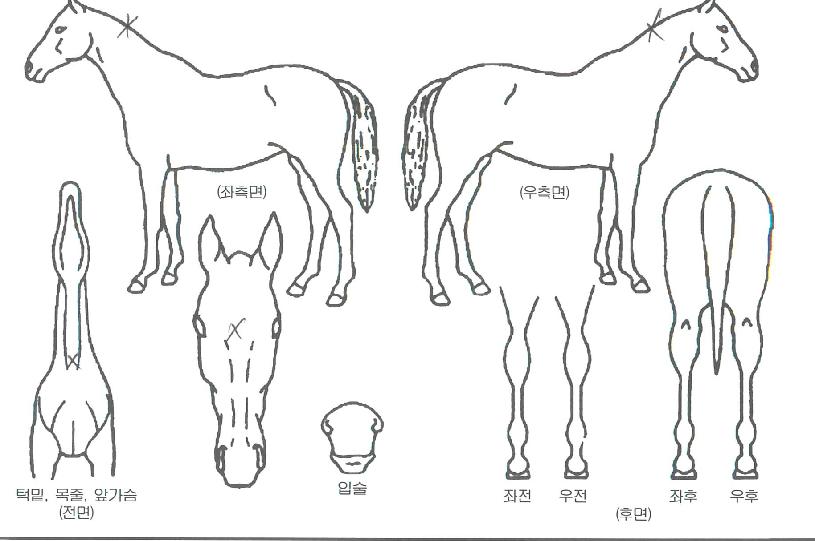 ��Ŀ��������ڸ��� ����,���,�޸�,�λ�,�ٸ��� Ư¡����